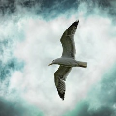 Love & Peace-사랑과 평화 by david yoo. (featuring 주윤발)