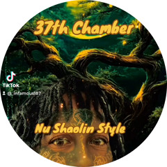 37th Chamber