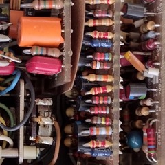 Wild Struktur feat. Stellar