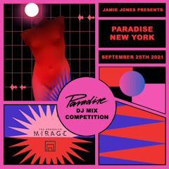 Brooklyn Mirage Paradise New York Mix