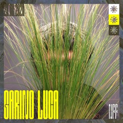 Secret Garden 006 x NFF20 | Garino Luca explores natural and digital soundscapes