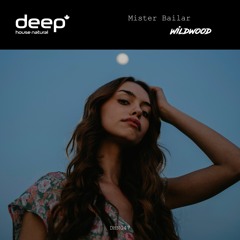 Mister Bailar - Wildwood (Original Mix)