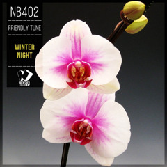 Friendly Tune - Winter Night (Original Mix)