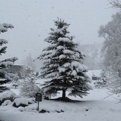 r5mbo - fair (drewwcoldd makkgin) [30mg exclusive]