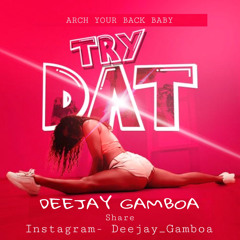 DJ GAMBOA - TRY DAT 🙈