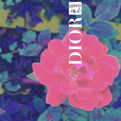 dior ( lil peep - waste of time remix )