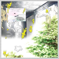 swear2god (tenshi)