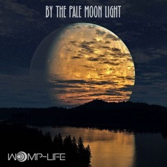 By The Pale Moon Light (DJ Mix)