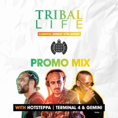 Hotsteppa With Terminal 4 & Gemini Tribal Life promo mix