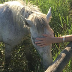 The Early Bird Show w/ BRADEN WELLS 031125