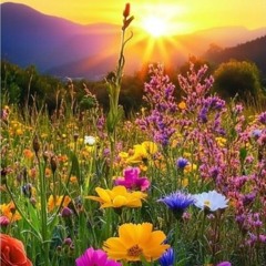 Back to the Meadows.mp3