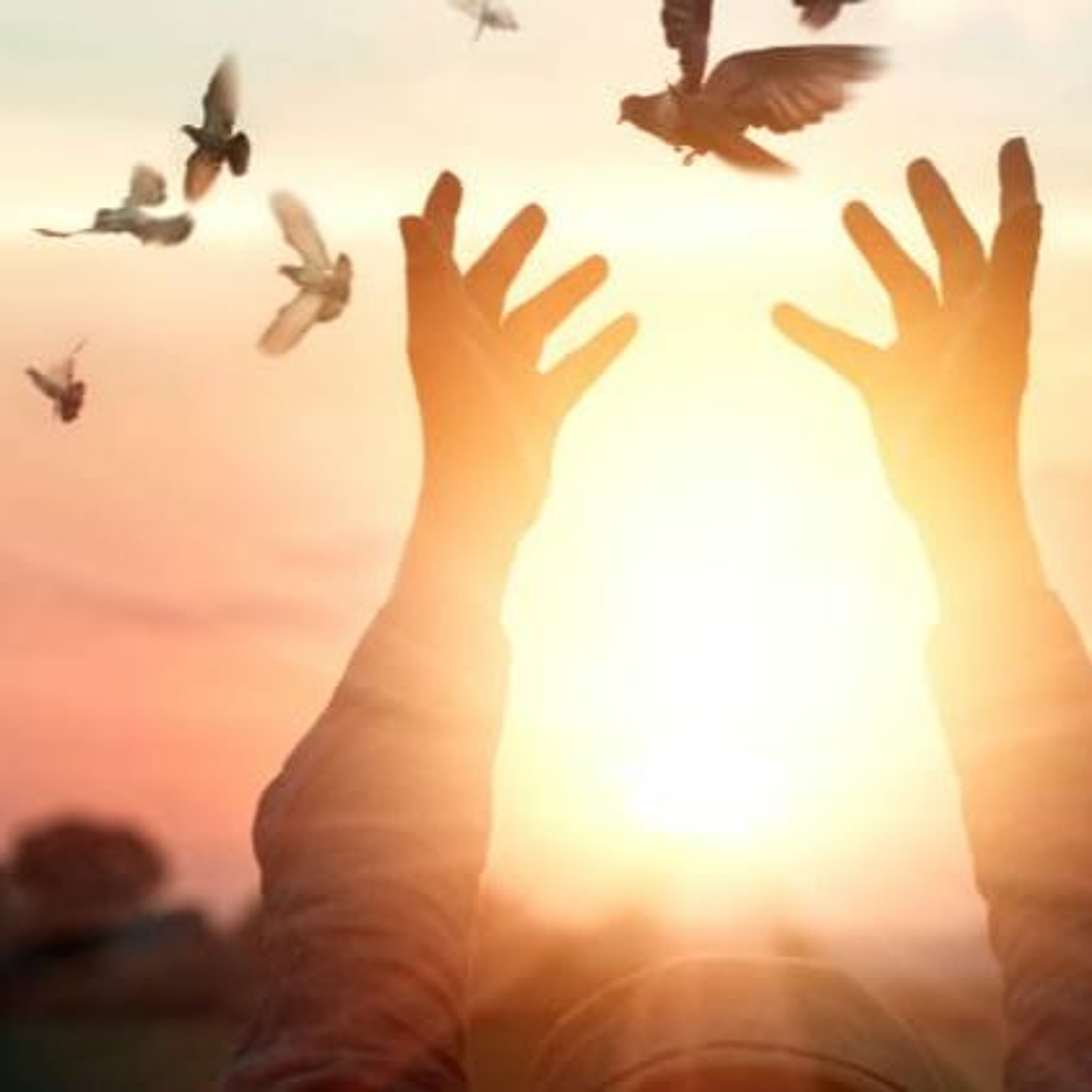 Devotional Light Church / Apostle Emmanuel A Adjei