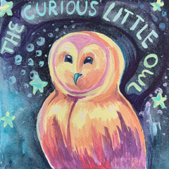 The Curious Little Owl
