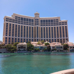 Money Chaser Dream Chaser