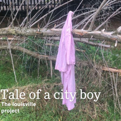 tale of a city boy