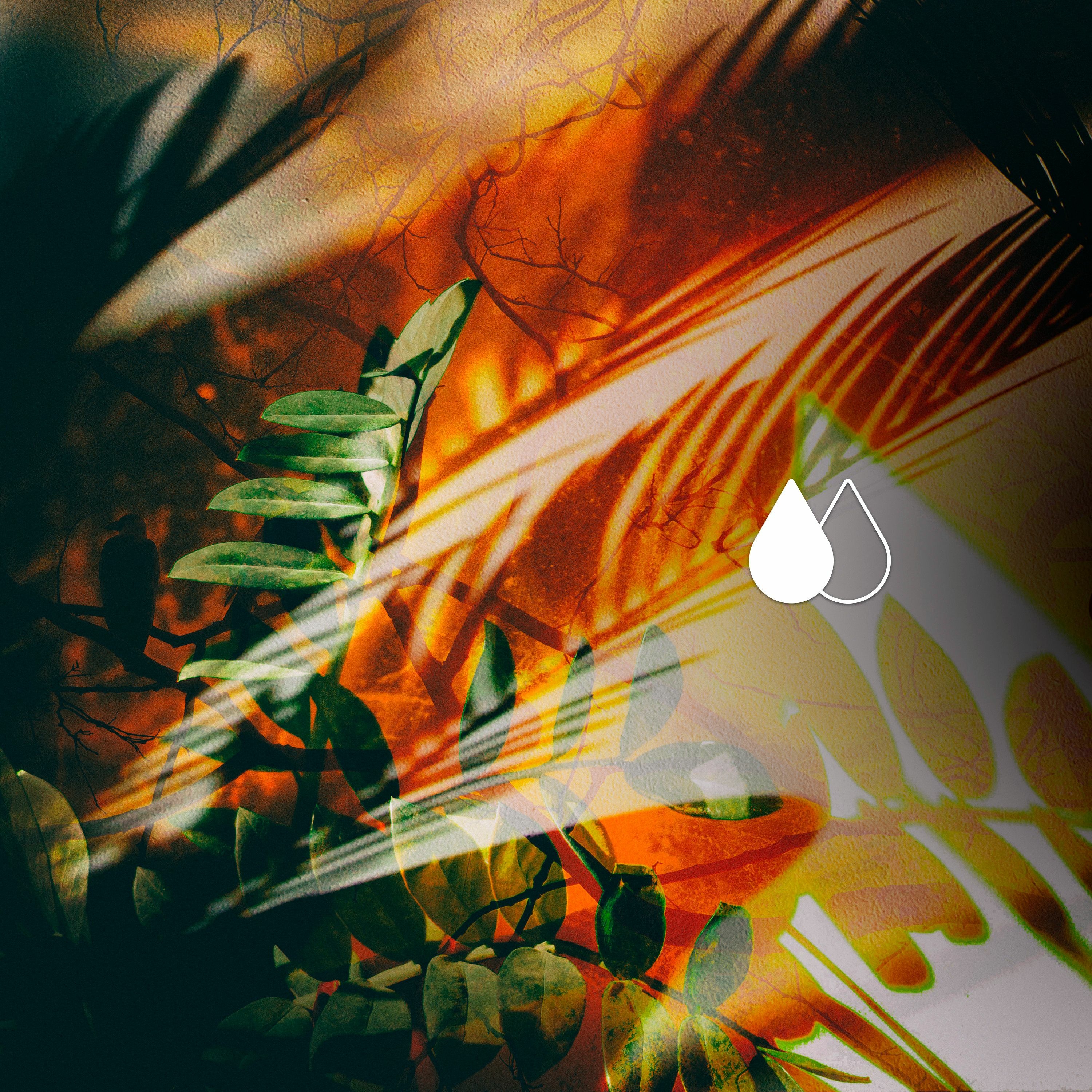 (clip) Kenny - Irreal episode artwork