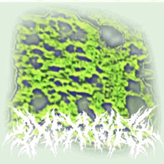EURHOPALATHRIX CIRCUMCISECORPUSCAVERNOSUMILLUM