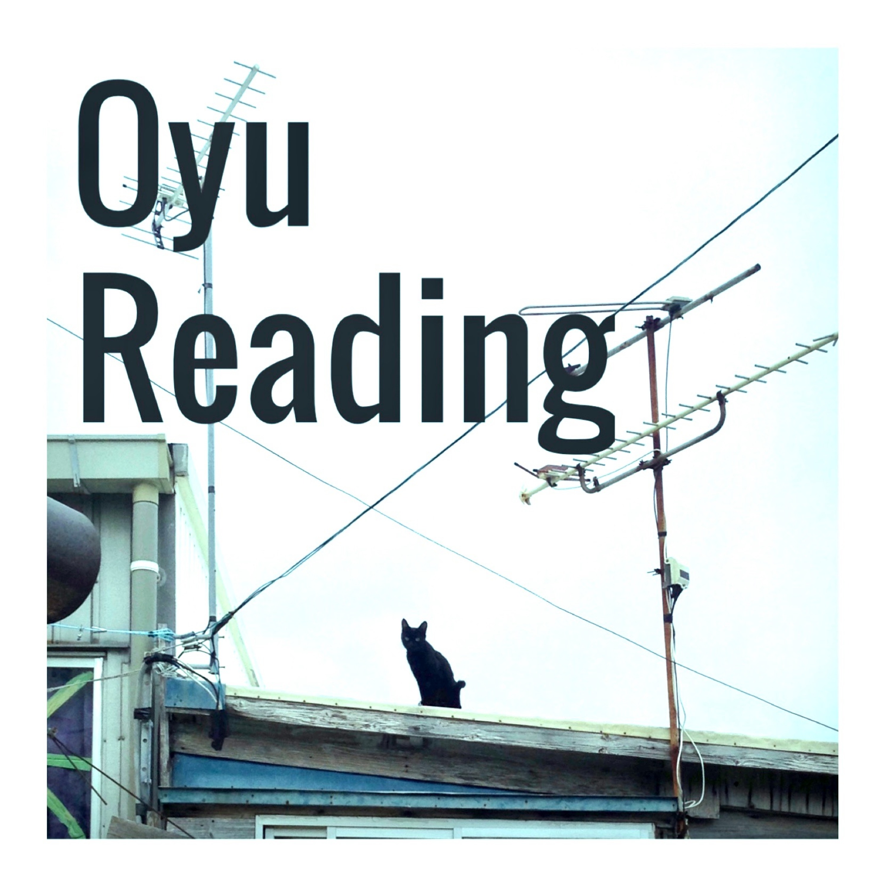 Oyu Reading