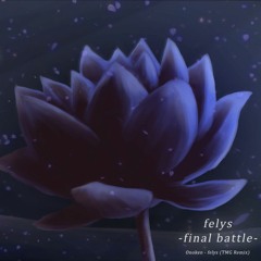 felys -final battle- [TMG Remix]
