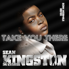Sean Kingston-Take You There (Eoin Normile Remix)