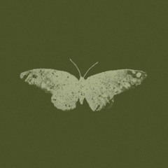 LoVibe. - a good man with a broken heart