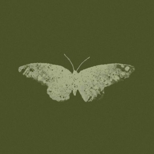 LoVibe. - a good man with a broken heart