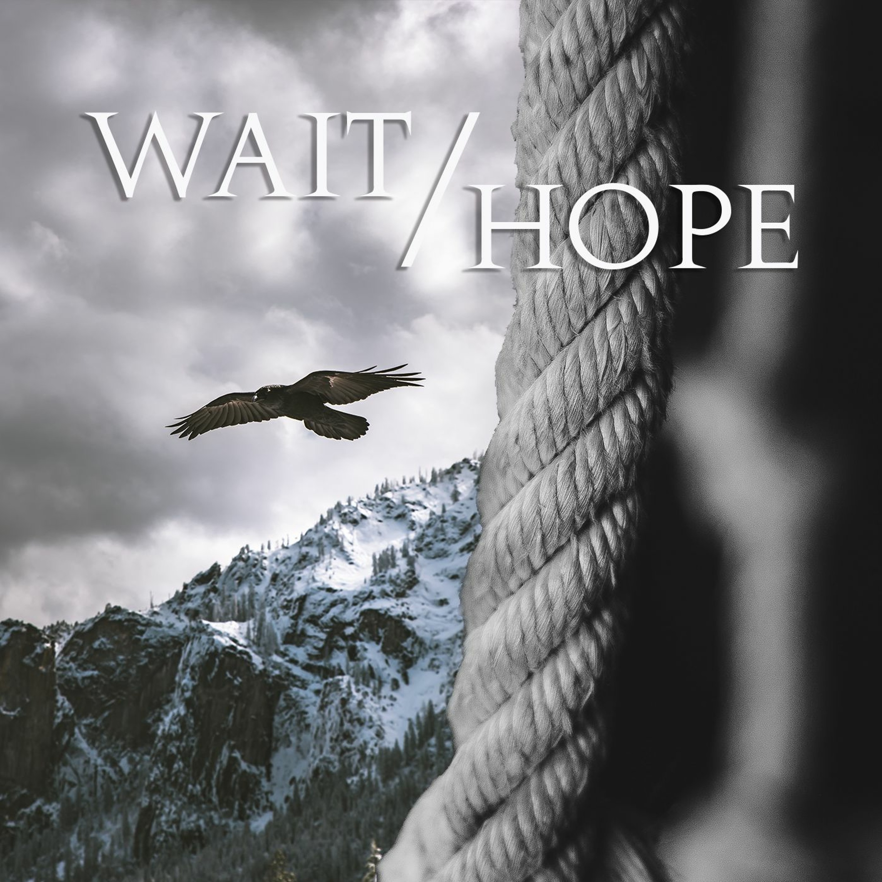 Wait/Hope episode artwork