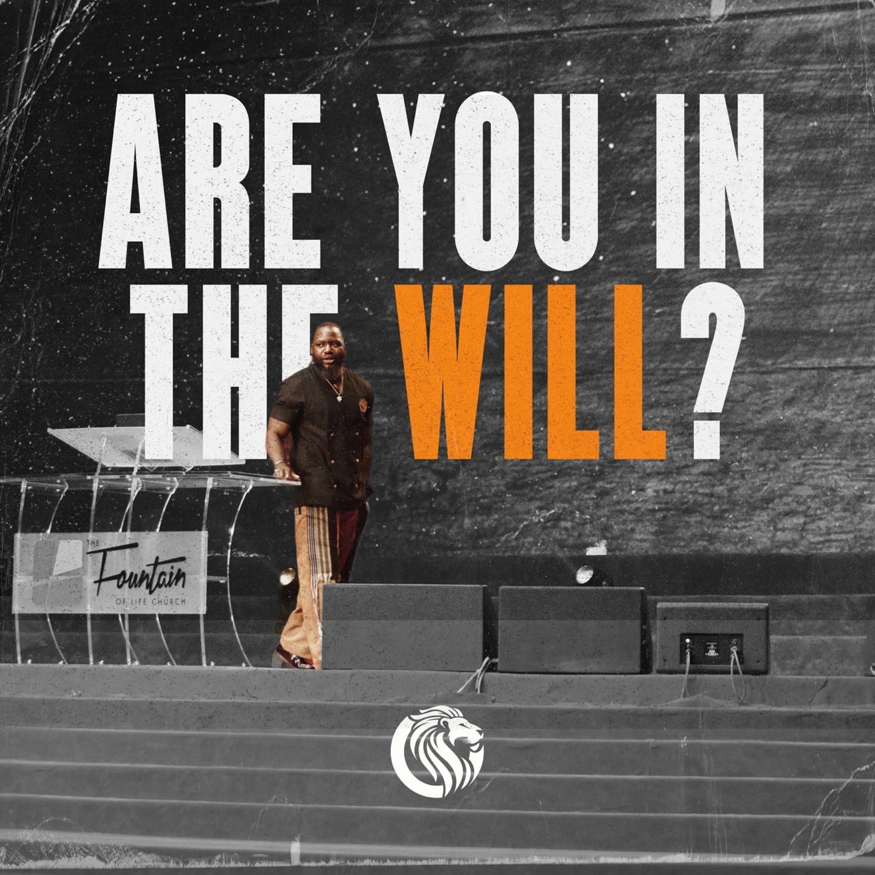 Are You In The Will episode artwork