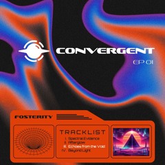 Echoes from the Void