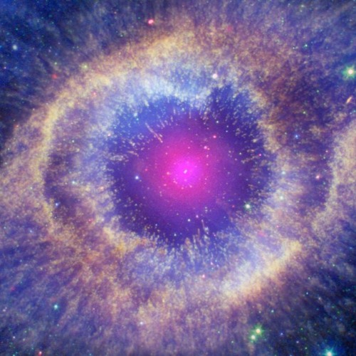 The Last Universal Step - Running Out The Box