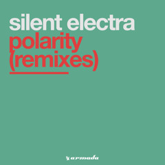 Polarity (Jochen Miller Remix)