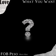 What You Want? ft. Elii