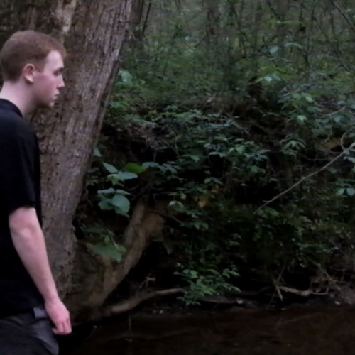 limerence (michael harrison)