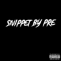 Pre - Snippet