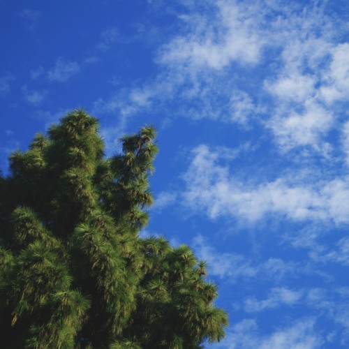 NIMBUS