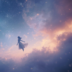 Il Passeggero dell'Aria