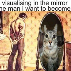 everything combined
