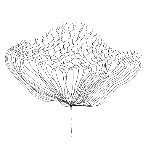 Branchbound