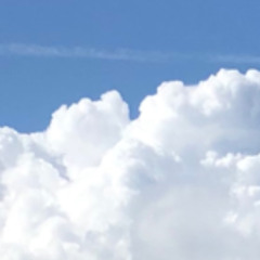 COZY-THEY KNOW(CAPO DE TUTTI CAPI)