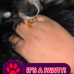 [@_encief] iKnoww ft.hco$hawty (prod.30nickk)