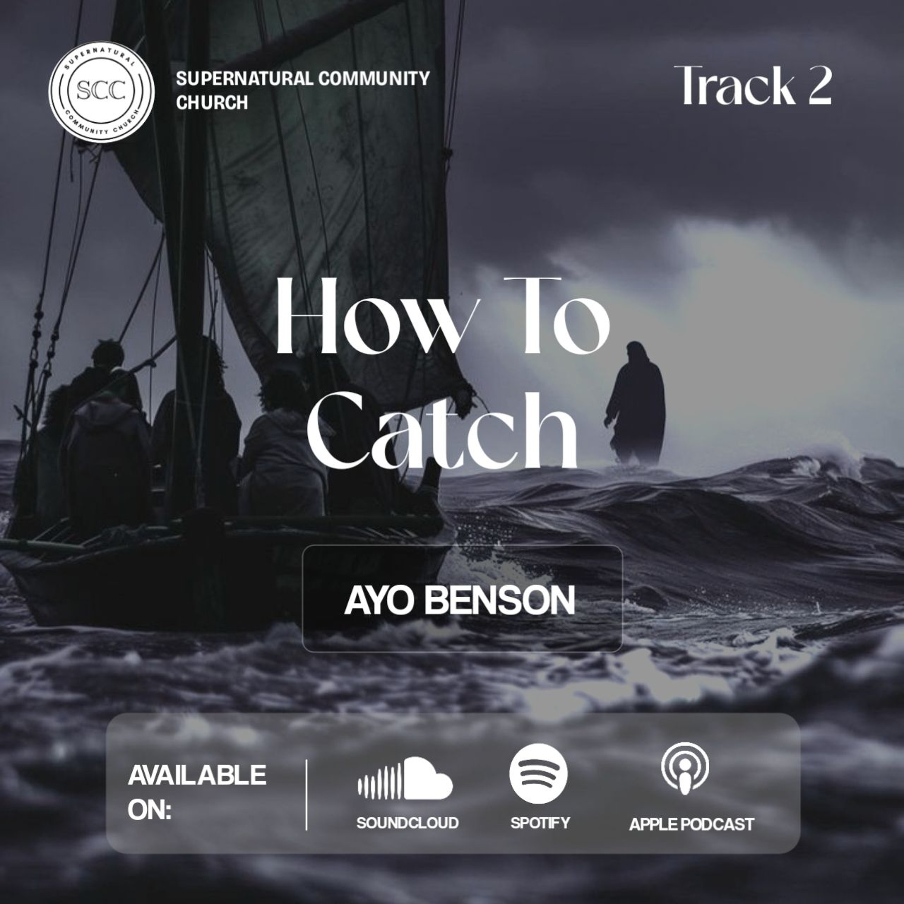 How To Catch (2)