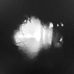 EveryoneWannaBeAStar. ☆