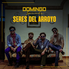 Seres del arroyo