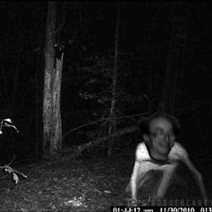 Devil Disorder(Prod.DIMEBAGGIE)