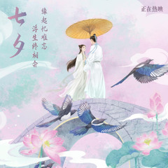 Thăm Cố Tri Remix   Thiển Ảnh A 探故知DJlucky小阳版浅影阿