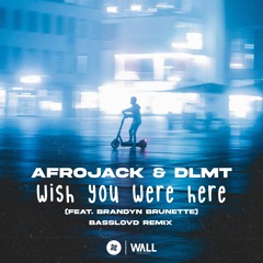 Afrojack & DLMT Ft. Brandyn Burnette - Wish You Were Here (Basslovd Remix)