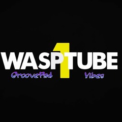 wasptube1_t9.wav