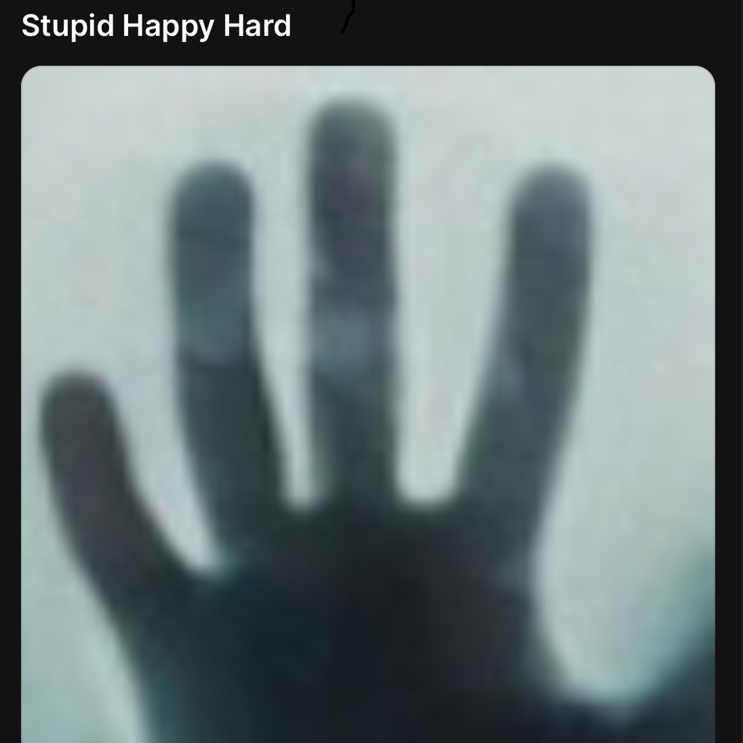 Stupid Happy Hard