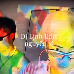 NGuyên Xi - DJ Linh Edit