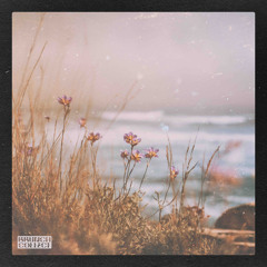 Thorn.vii - Felt This Way